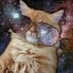 Almighty Lord Space Cat