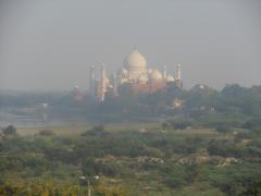 Taj from a distance